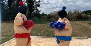 portfolio sumo