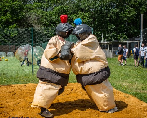 combat de sumo pour enfants et adultes (2)