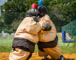 nikomagnus combat sumo 2 ado adultes