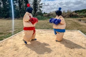 web acting loisirs sumo04