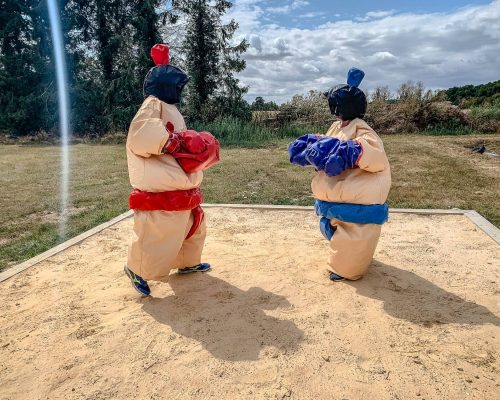 web acting loisirs sumo04