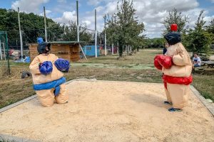 web acting loisirs sumo08